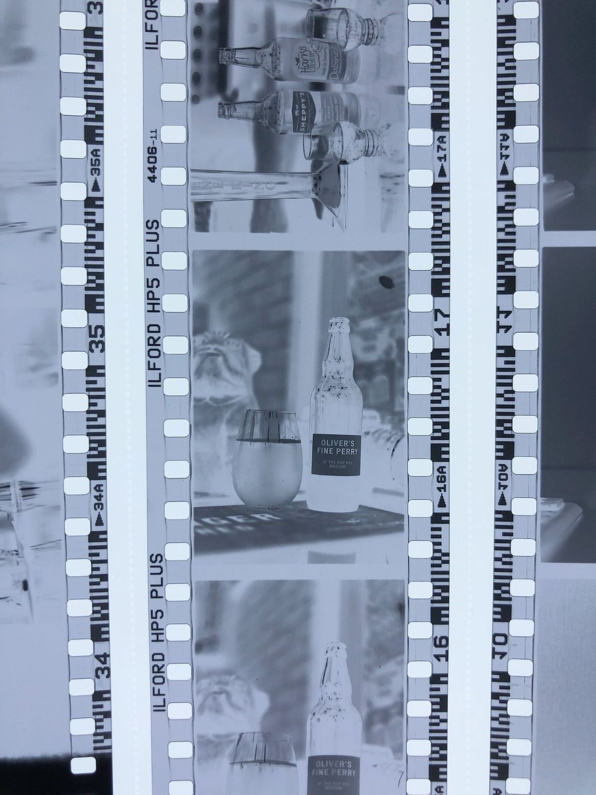 CIDER ON FILM
